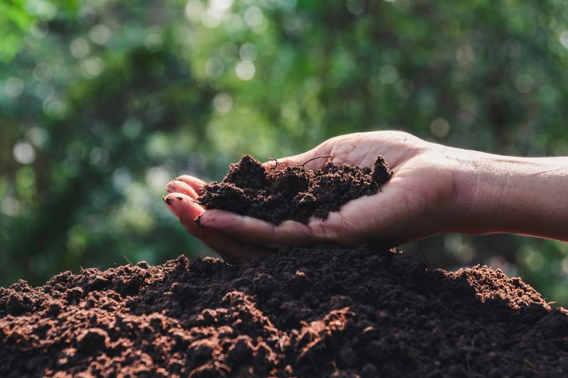 Ins and Outs of Soil