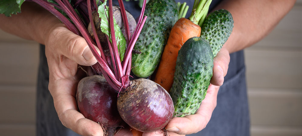 Best Times to Harvest Your Veggies