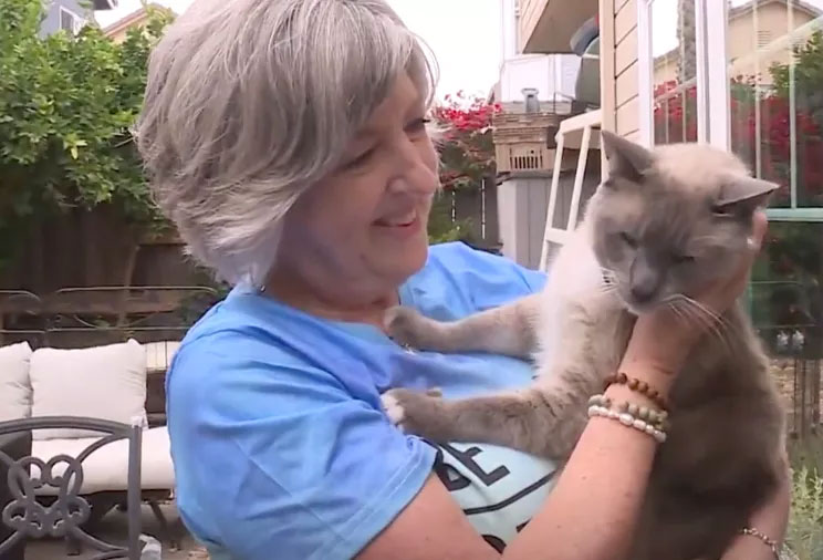 Meet Rayne Beau, the World’s First “Homing” Cat